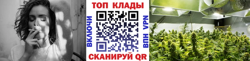 Где найти наркотики Лосино-Петровский Гашиш  Кокаин  Меф  Канабис 